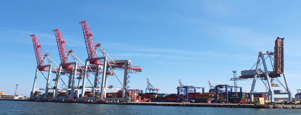 椰蓉進(jìn)口報關(guān)