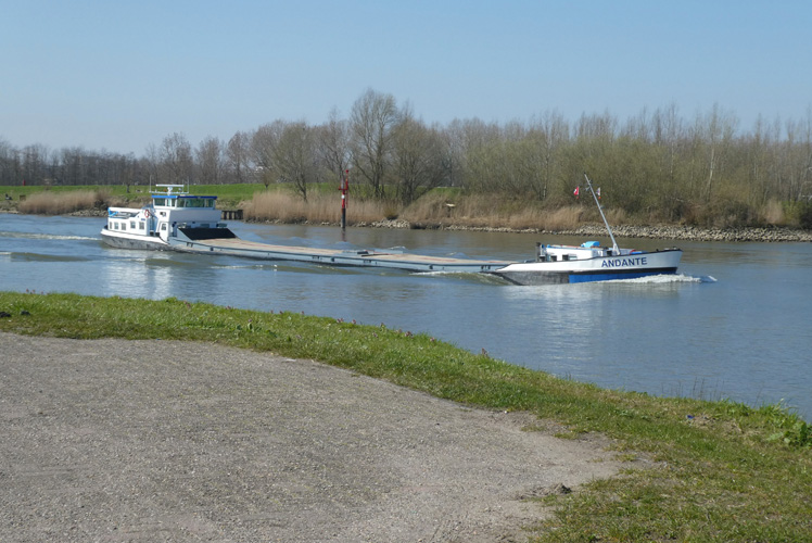 堅(jiān)果進(jìn)口到上海報(bào)關(guān)流程 堅(jiān)果進(jìn)口到上海報(bào)關(guān)流程